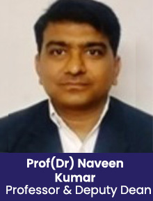 Prof(Dr) Naveen Kumar
